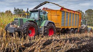 Maize silage in muddy conditions  Corn harvest in Germany  contractor Postel  2021