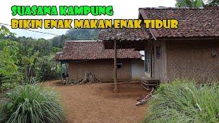 Suasana Kampung Ini Bikin  Enak Makan Enak Tidur. Hawanya Benar Benar Bersih Dan Hening