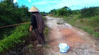 @ Asyik Mancing Di Eks Sawah Balun Ijuk. Bangka