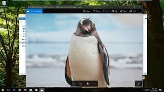 How to Find Windows 10s Spotlight Lock Screen Pictures