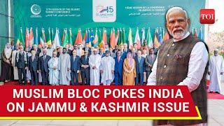 Saudi Iran Pak-Led Muslim Bloc Targets India On Kashmir OIC Holds Meeting On J&K  Details