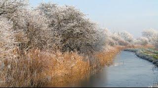 Ralph Vaughan Williams  In the Fen Country. Photographs.