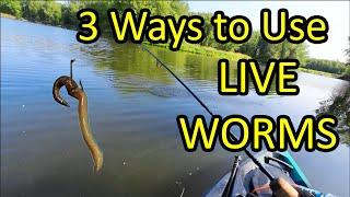 How to Catch a Fish With a Live Worm for Bait - 3 Ways Beginner Fishing Tips