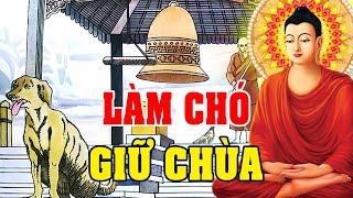 LÀM CHÓ GIỮ CHÙA Để Trả Nghiệp Luật Nhân Quả Không Bỏ Sót Một Ai  Phật Giáo Nhiệm Màu