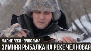 Зимняя рыбалка на реке Челновая  Малые реки Черноземья #5  #10