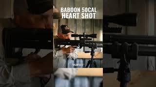 Ever seen a BABOON shot with a 50BMG?? Link in description