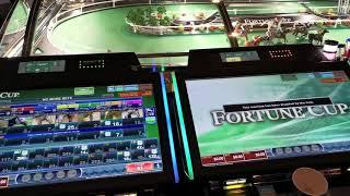 Fortune Cup slot horse racing slot machine wins and loses