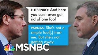 Ukraine prosecutor Offered Dirt On Biden In Exchange For Firing Of U.S. Ambassador  All In  MSNBC