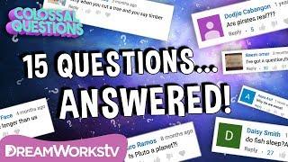 15 Quick Questions Answered  COLOSSAL QUESTIONS