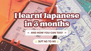 I Taught Myself Japanese in 3 Months   N5 to N3 LEVEL 