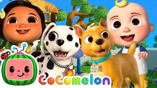 JJs Puppy Play Date  CoComelon JJs Animal Time  Animal Songs for Kids