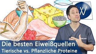 Die besten Eiweißquellen für Muskelaufbau & Immunsystem Pflanzliche vs. tierische Proteinquellen