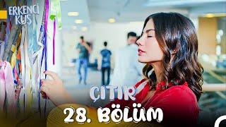 Erkenci Kuş 28. Çıtır Bölüm  Bir Tek Dileğim Var Mutlu Ol Yeter