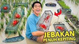 PASANG JEBAKAN BUAT TANGKAP KEPITING KASIH KE HEWAN AKU DI RUMAH