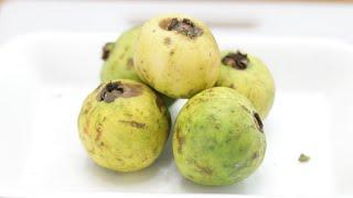 How to Eat Mexican Guava  White Guava Taste Test