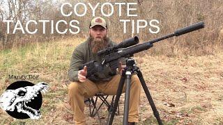 Coyote Hunting TipsTactics Be More Successful