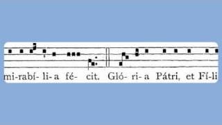 Puer Natus Est Nobis Christmas Day Introit