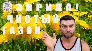 ГАЗОН без СОРНЯКОВ  - это ПРОСТО Нашёл СУПЕР-СРЕДСТВО ГЕРБИЦИДЫ избирательного действия