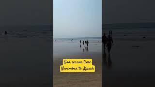 Goa season started beach is filled with foreigners  welcome to Goa