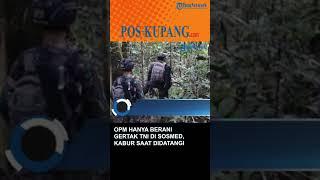 OPM Hanya Berani Gertak TNI di Sosmed Kabur saat Didatangi Prajurit