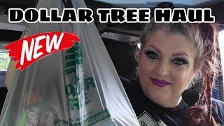 DOLLAR TREE HAUL  FUN NEW ITEMS  June 25 2023