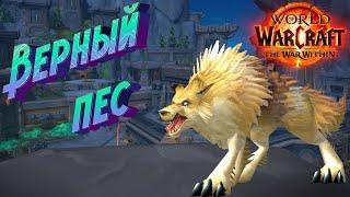 КАК ПОЛУЧИТЬ СЕКРЕТНОГО ПИТОМЦА «ВЕРНЫЙ ПЕС» В WORLD OF WARCRAFT THE WAR WITHIN #worldofwarcraft