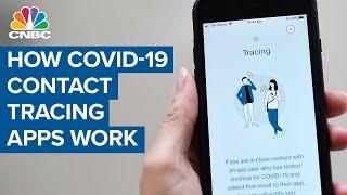 Heres how coronavirus contact tracing apps work