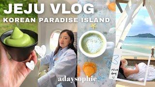 JEJU VLOG ️ 5 days on the Korean Paradise Island best restaurants jeju food seogwipo