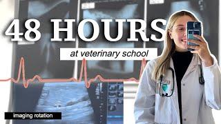 *realistic* 48 hours with me as a Vet Student  Vet School Vlog