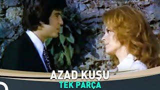 Azad Kuşu  Hülya Koçyiğit Tarık Akan Filmi