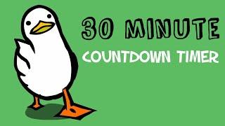 30 minute countdown timer  walking duck