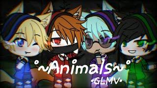 Ppg × Rrb ●Animals●•GLMV•