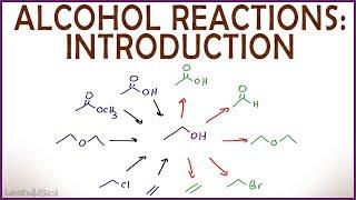 Introduction to Alcohol Properties and Reactions