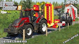 Preparing fields for baling  Animals on Geiselsberg  Farming Simulator 19  Episode 25