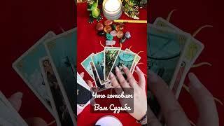  Что готовит Вам Судьба  #таро #обряды #таролог #ведьмы #tarot #гадание #гаданиеонлайн