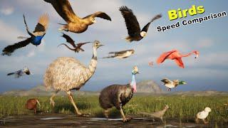 Birds Speed Comparison in 3D  Most Fastest birds  Fictional  Extinct birds  dragons