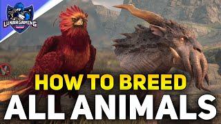 All 13 Animals Location and How To Breed Them - Hogwarts Legacy