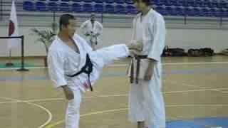 Kagawa-sensei demonstrating maegeri and Yokogeri Kekomi