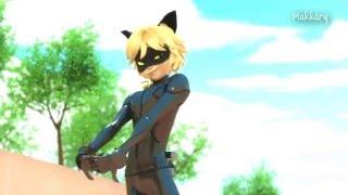 Chat Noir  MV