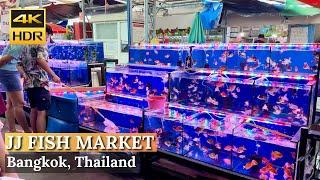 BANGKOK Chatuchak Fish Market Exploring The Largest Fish Market In Bangkok Thailand 4K HDR