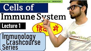 Cells of immune system in Hindi  Immunology lecture 1