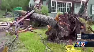 19-year-old man killed by fallen tree from Tropical Storm Debby