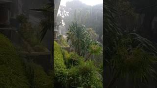 Kota Malang Hujan Lebat