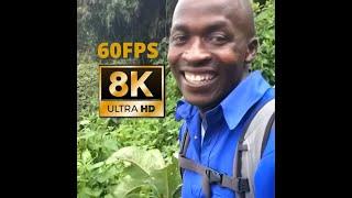 Hi Okay  8K 60fps