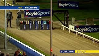 Irish Greyhound Derby Final 2022