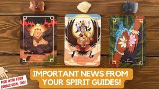 Important News From Your Spirit Guides  Timeless Reading