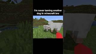 Minecraft Dog Moment