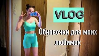 НАГОТОВИЛА ЕДЫ ПЕРЕСАДИЛА ЦВЕТОК VLOG ОБЗОР ПОКУПОК