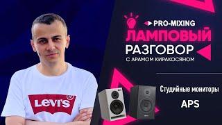 Ламповый разговор #15 Студийные мониторы APS + Специальный Гость Константин Арефьев