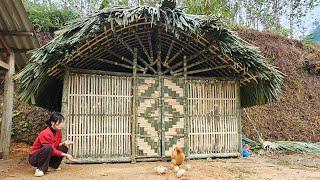 Build a 2-in-1 chicken coop in the ground  bamboo chicken coop